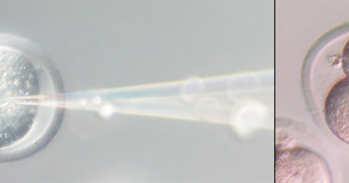 Ishikawa_JunB_HPI_0.jpg?h=
