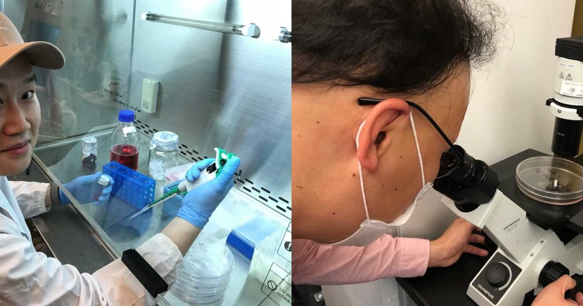 20200508researchersproducingspikeproteinantigens.jpg Okinawa