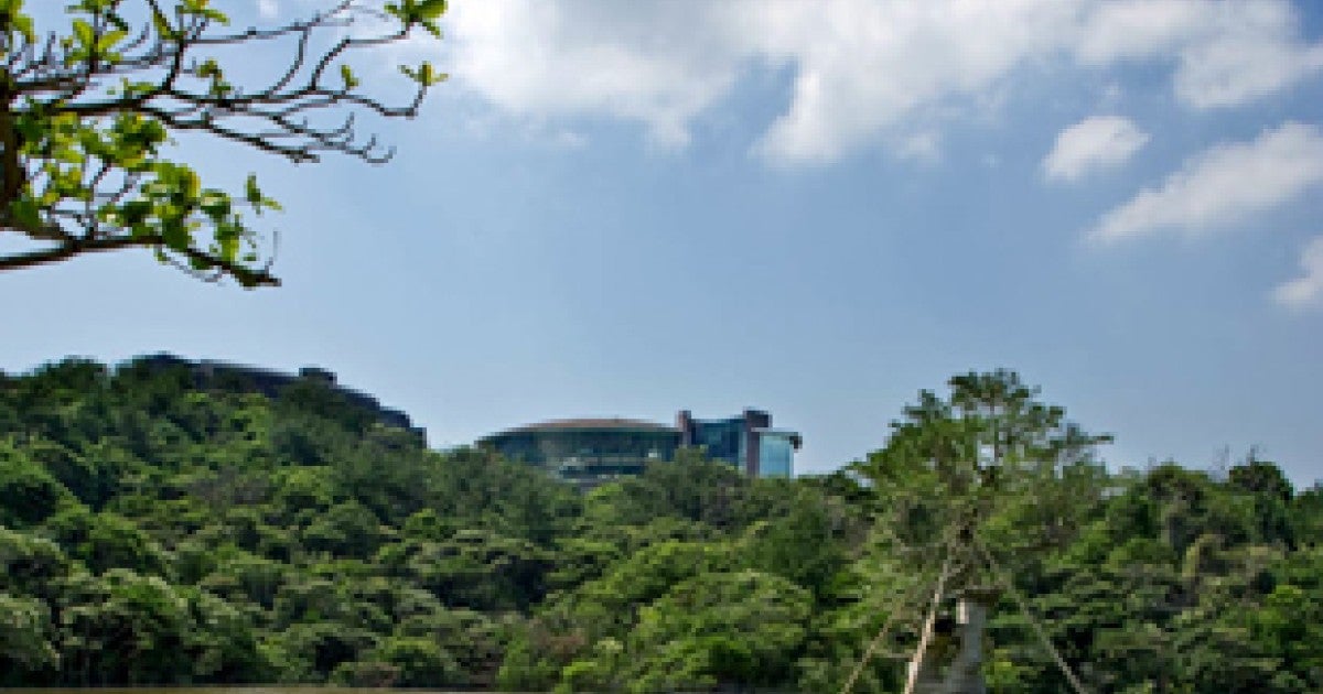 n06-1-outside-310x258.jpg | Okinawa Institute of Science and Technology ...