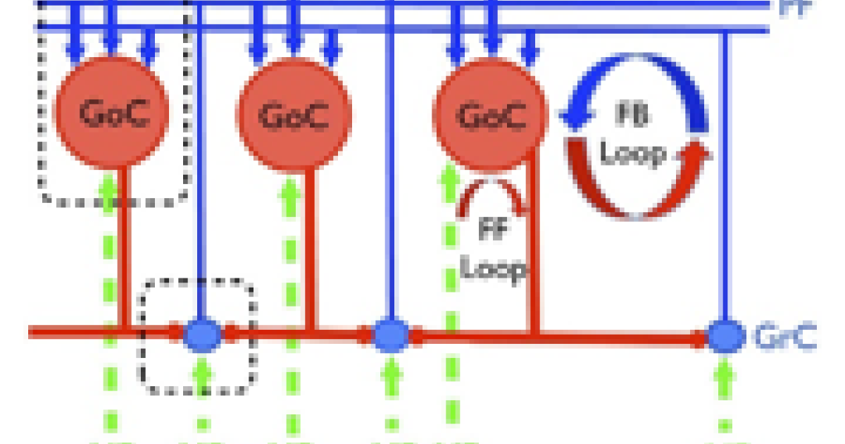 network-modelling.png | Okinawa Institute of Science and Technology OIST