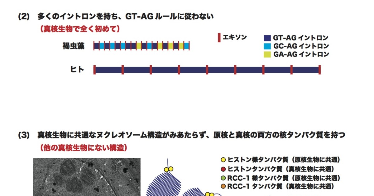 中国が新型コロナウイルスに対する封鎖を強化した理由を理解する