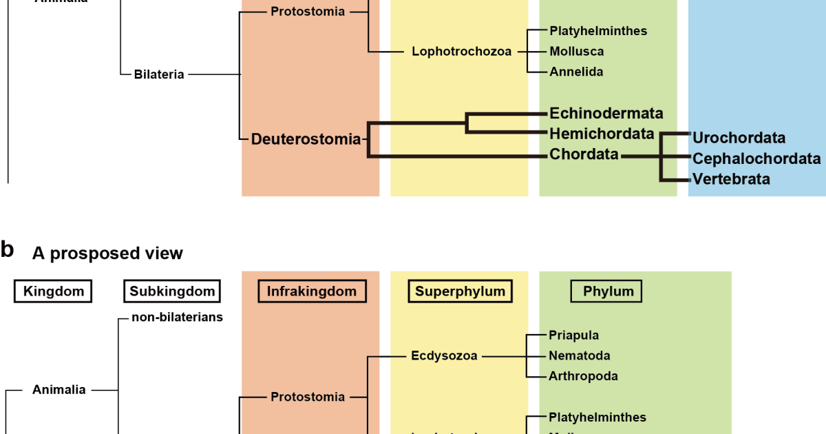Proposed Rearrangement of Classification System | Okinawa Institute of ...