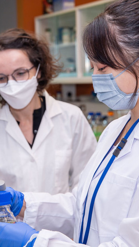 Two researchers in white coat working in a lab