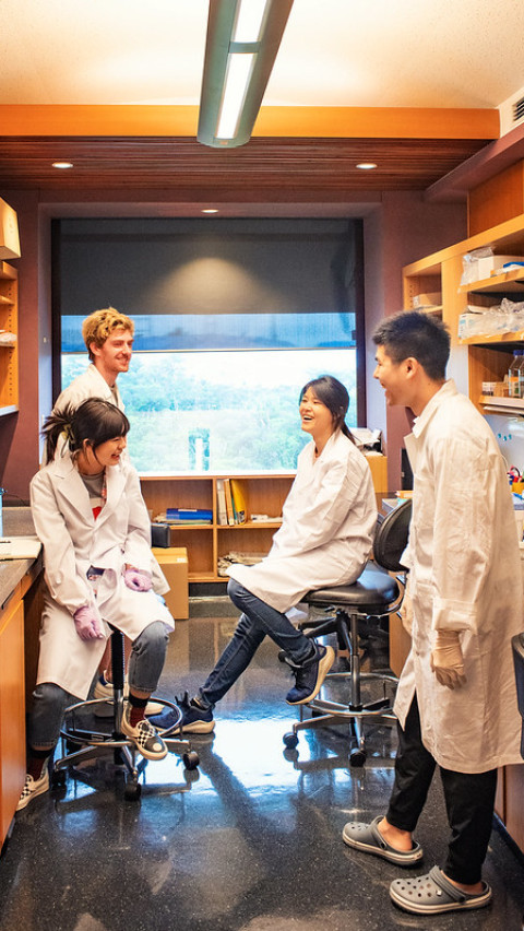 Young scientists wearing white coat in a lab